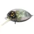 Pontoon 21 RedRag 36F-SR / 813 wobbler műcsali