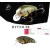 HYPNO-SR F 5.6cm 11.5gr Brown Craw