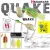 SPINNERBAIT QUAKE 1 1/2oz 42gr Chartreuse/Orange
