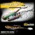 BIWAA DIVINATOR MEDIUM 18cm 35gr 36 Ghost Carp