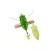DUO REALIS SHINMUSHI 4.0cm 5.7gr CCC3265 Frogster