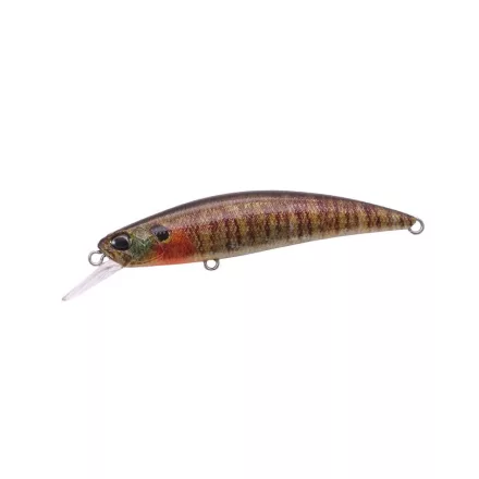 DUO SPEARHEAD RYUKI 70S 7cm 9gr CCC3357 True Gill wobbler műcsali