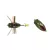 DUO REALIS SHINMUSHI 4.0cm 5.7gr CCC3218 Kinkame felszíni wobbler