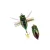 DUO REALIS KOSHINMUSHI 3.0cm 3.1gr CCC3218 Kinkame felszíni wobbler