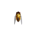 MEGABASS HARUZEMI 23.8mm 1.7gr HARU ZEMI felszíni wobbler