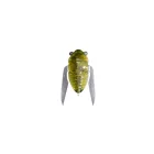 MEGABASS HARUZEMI 23.8mm 1.7gr FF CADDIS OLIVE felszíni wobbler