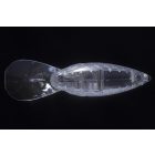 OSP BLITZ DR 53mm 11gr P20 Chart Black Back