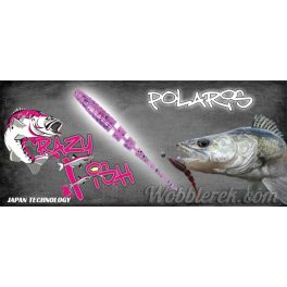 Crazy Fish Polaris