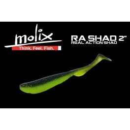 Molix RA Shad