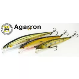 Pontoon 21 Agarron 110