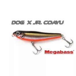 Megabass DOG-X Jr. COAYU