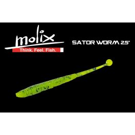 Molix Sator Worm