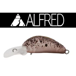 Alfred Croto Mini DR