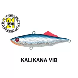 Pontoon 21 Kalikana-Vib 