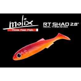 Molix RT Shad