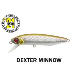 Pontoon 21 Dexter Minnow