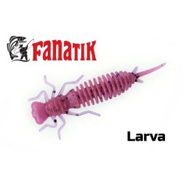 Fanatik - Larva