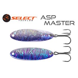 Select AspMaster