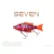 Biwaa Seven