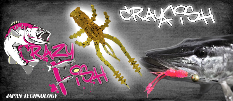Crayfish katkép2