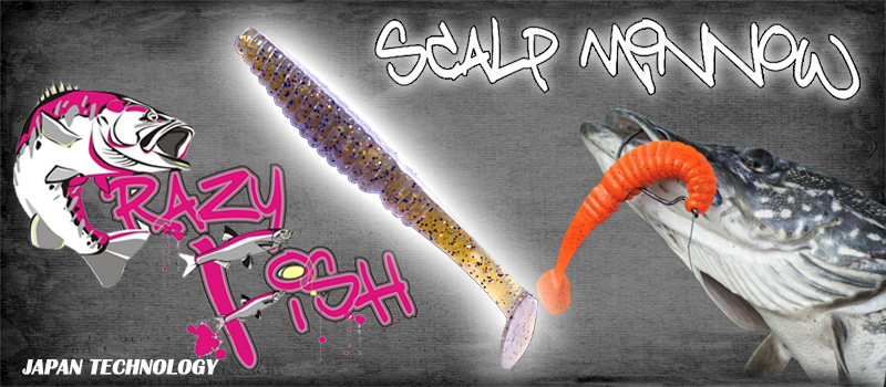 Scalp Minnow katkép