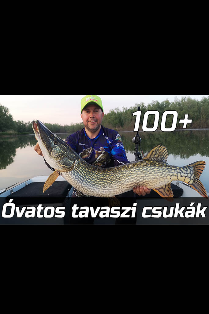 VIDEO - FOGHEGYRŐL kapó 90 és 100+ MAGYAR csukák (FULL HD)